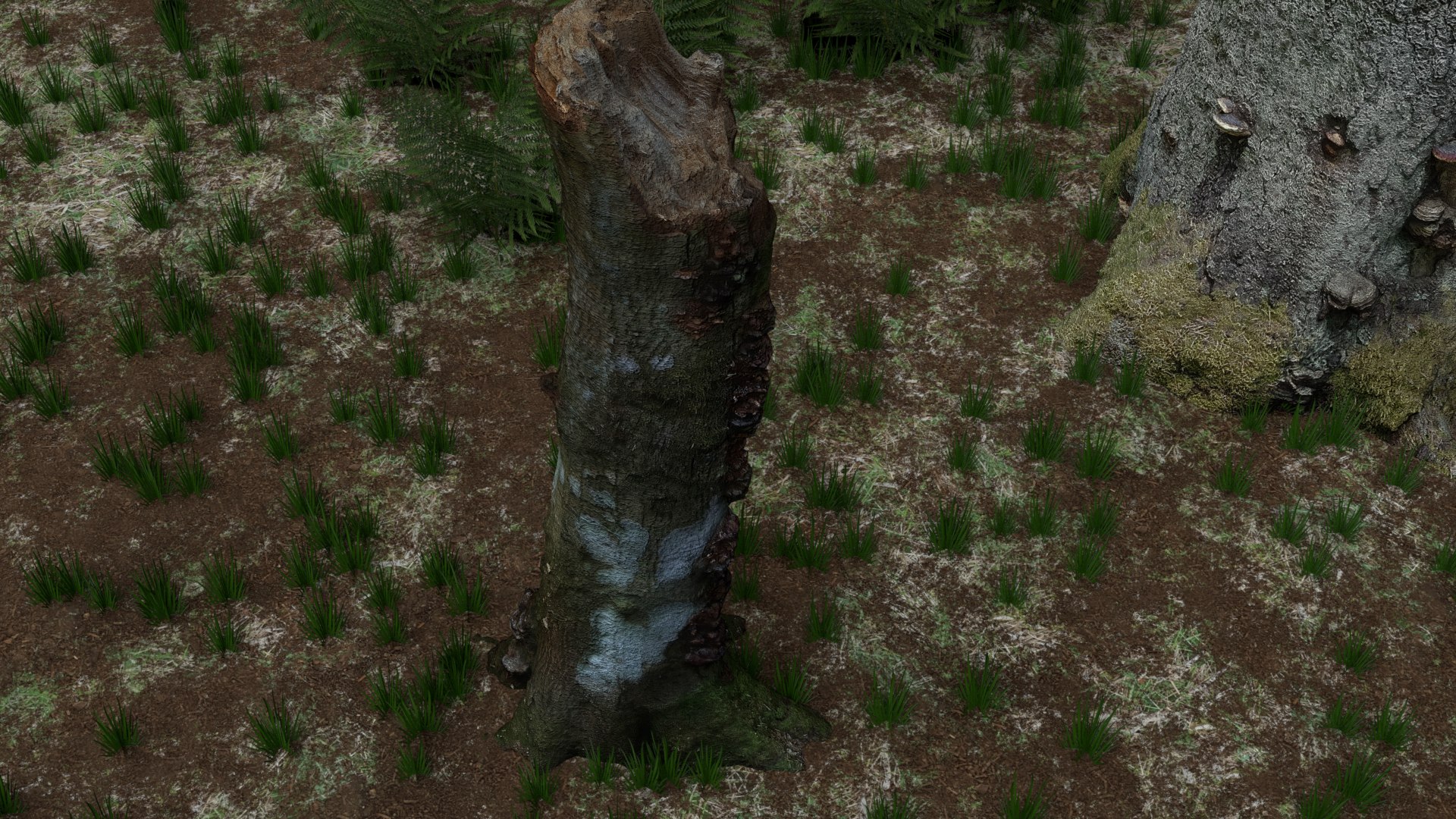 pack stumps 3D model https://p.turbosquid.com/ts-thumb/uw/dq6mbM/Pm8EzZfM/0008/png/1528595127/1920x1080/fit_q87/bf6a5a609da6b470b39d1ffecfda4d19293dd7ae/0008.jpg