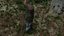 Stump pack