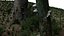 Stump pack