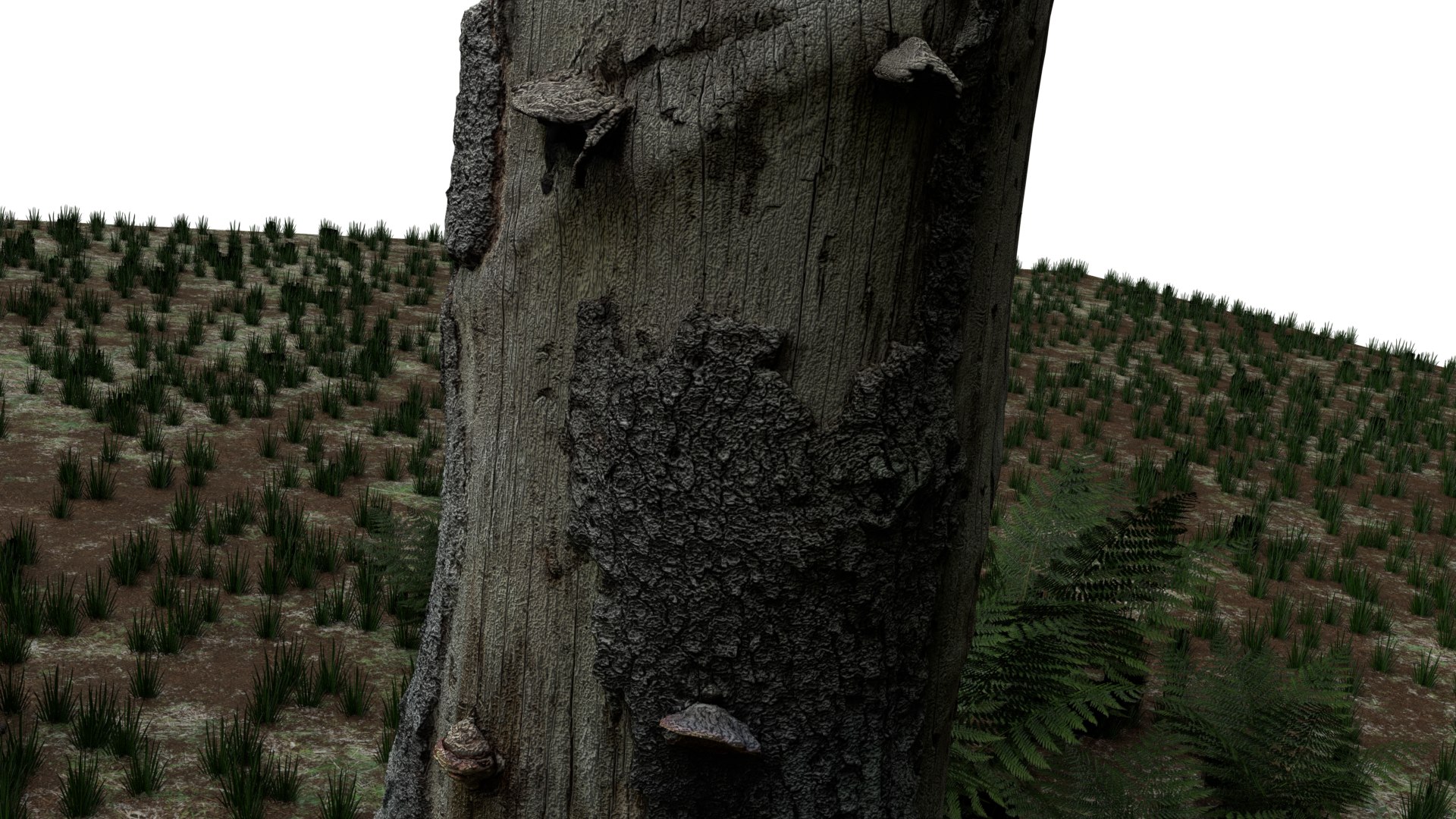 pack stumps 3D model https://p.turbosquid.com/ts-thumb/uw/dq6mbM/SdFqkmeJ/0019/png/1528595314/1920x1080/fit_q87/5f4e9ad33722fa3b230f38a5db51c76d2c9dfe05/0019.jpg