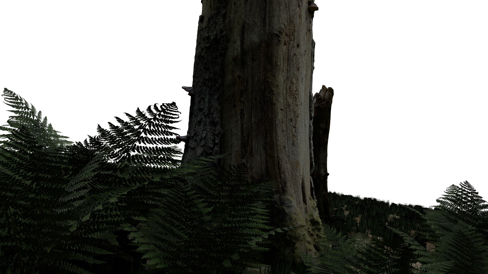 pack stumps 3D model https://p.turbosquid.com/ts-thumb/uw/dq6mbM/Ybul5fKK/0015/png/1528595245/1920x1080/fit_q87/00d04faf3b0d220bce30cdf2661e0eb511c19b23/0015.jpg