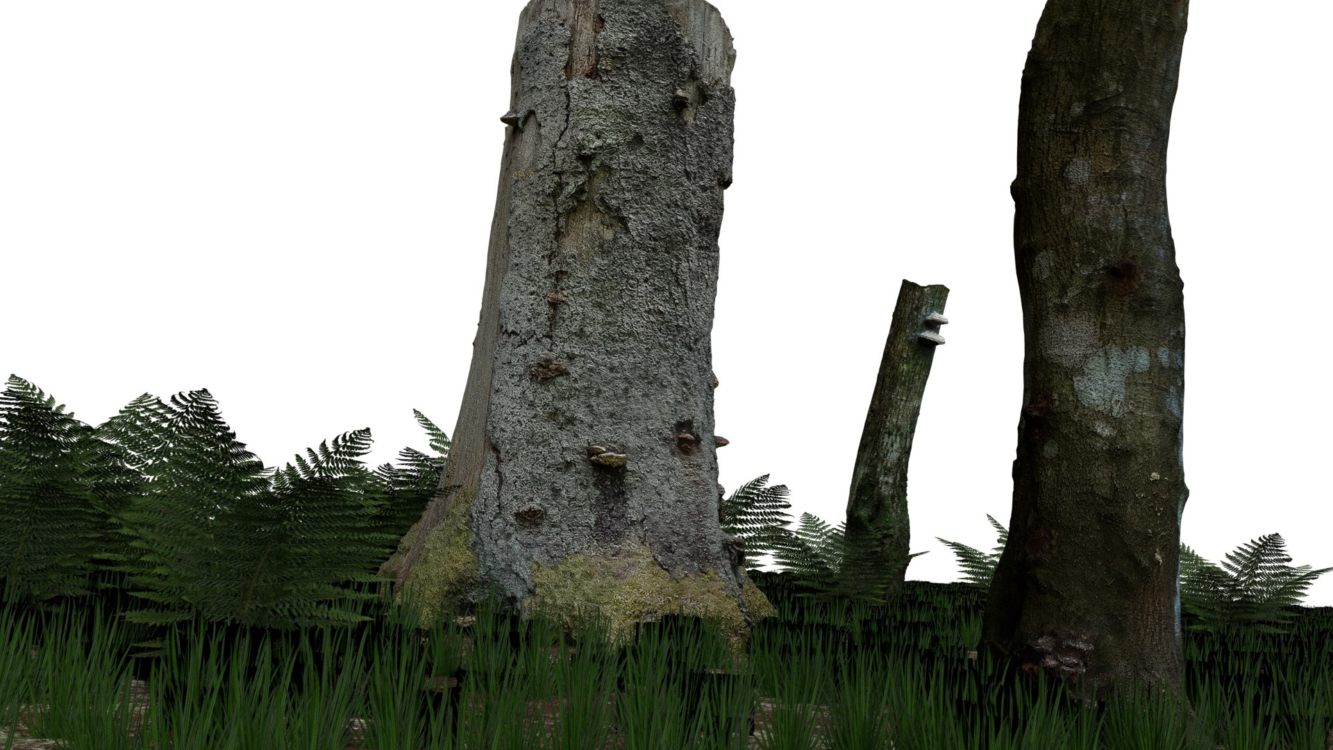 pack stumps 3D model https://p.turbosquid.com/ts-thumb/uw/dq6mbM/c1dCo396/0022/png/1528595354/1920x1080/fit_q87/779805e463ed963e0e3f9150b85f1bb1491bf3c8/0022.jpg