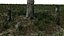 Stump pack