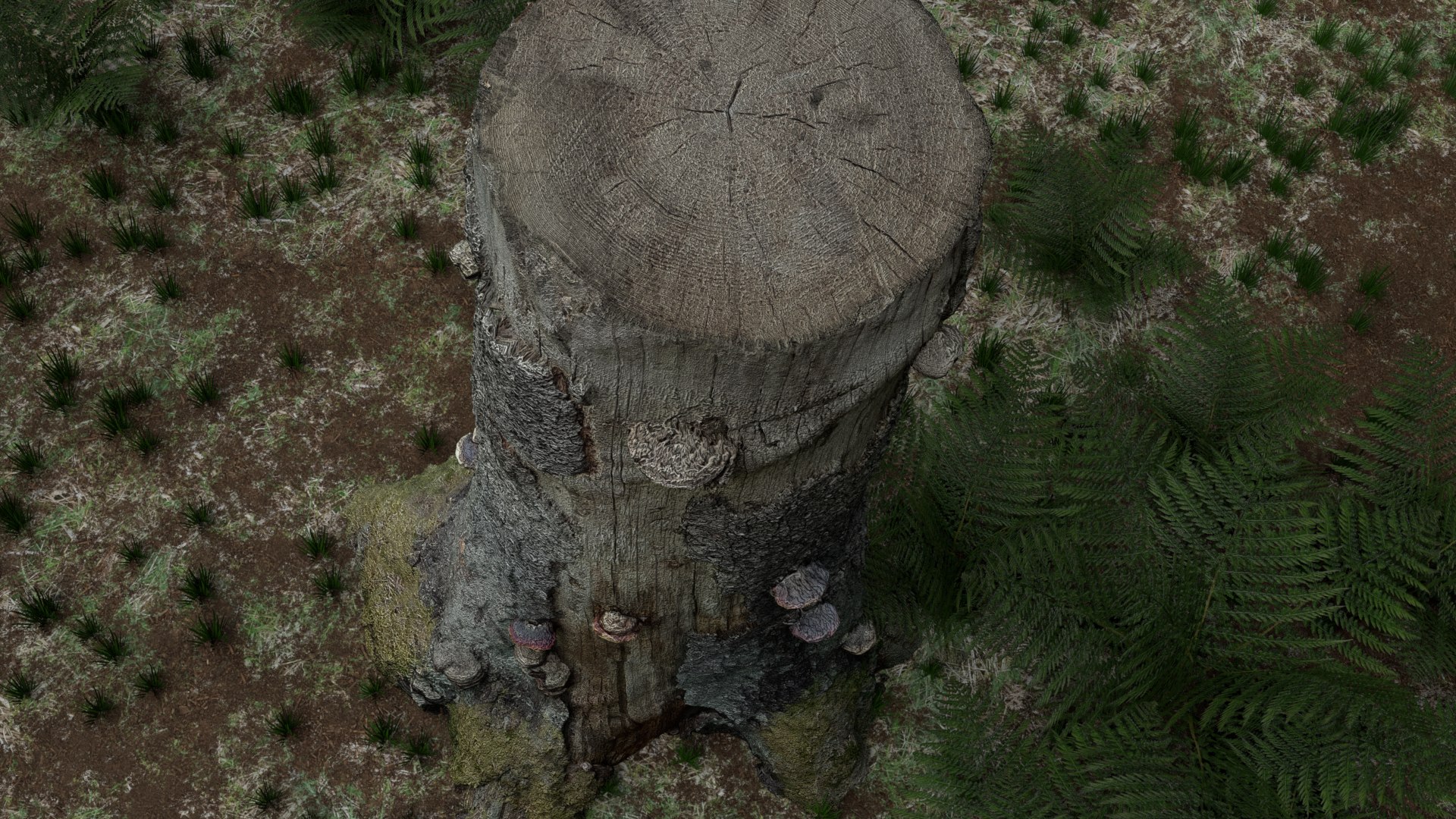 pack stumps 3D model https://p.turbosquid.com/ts-thumb/uw/dq6mbM/f8H9Huzr/0020/png/1528595326/1920x1080/fit_q87/354393d868412a92a26a5d5d4dacb553aee8d925/0020.jpg