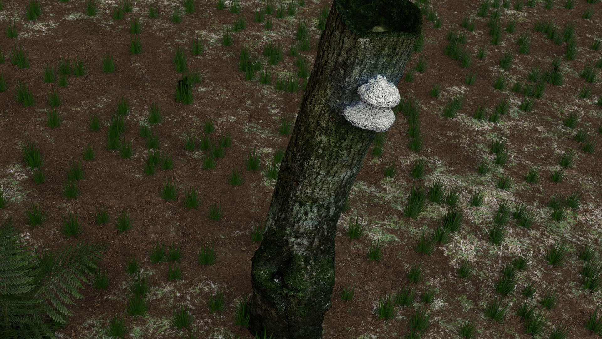 pack stumps 3D model https://p.turbosquid.com/ts-thumb/uw/dq6mbM/k68vOrSj/0012/png/1528595202/1920x1080/fit_q87/91ff3b923ddd65b0219380c1bd778390364f924d/0012.jpg