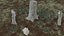 Stump pack