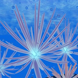 anemone 3d model