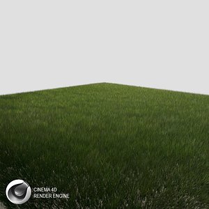 3d grass dynamic