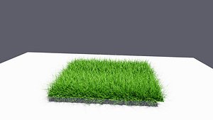 GRASS 3D