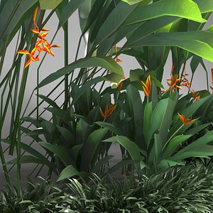 Tropical tree set Lowpoly