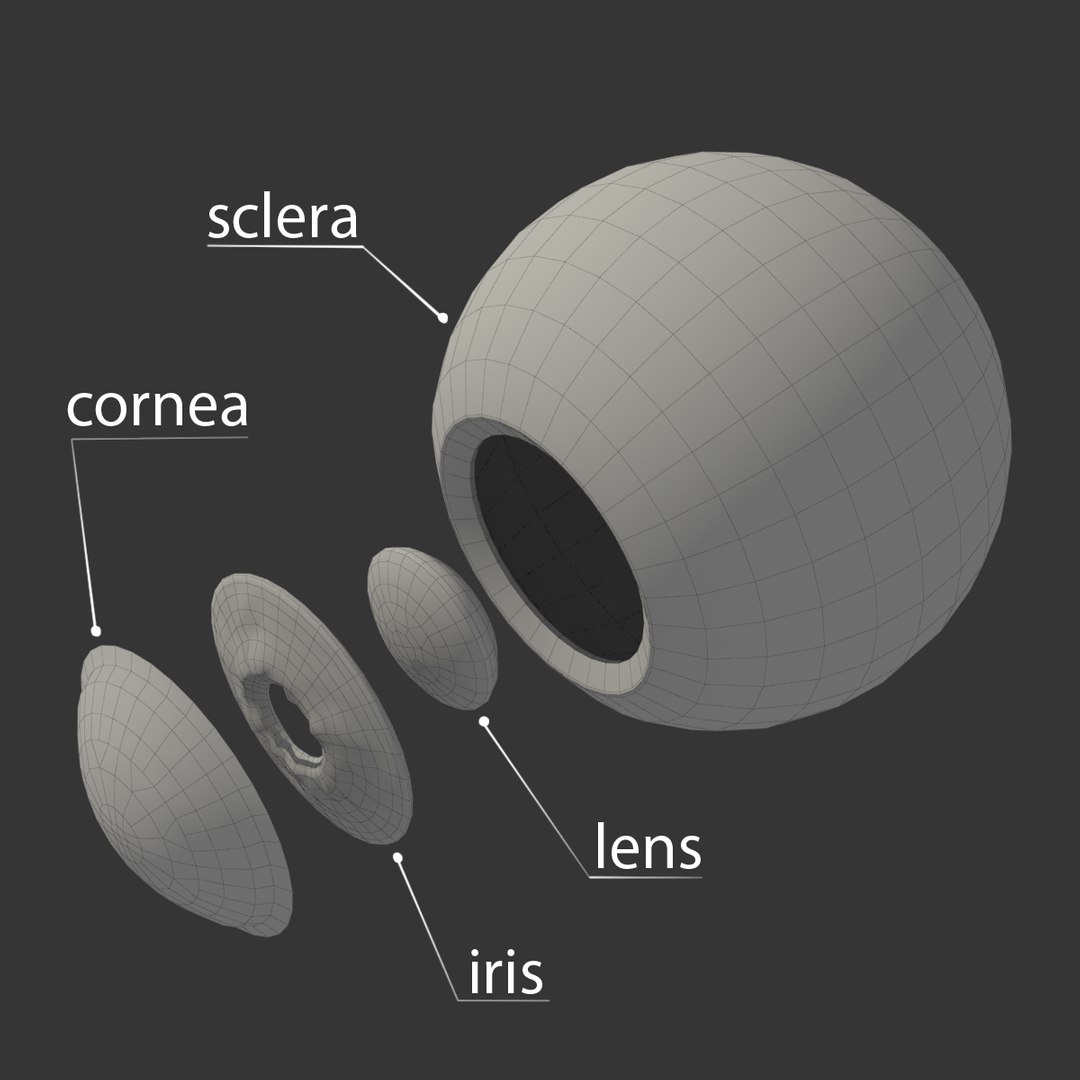 3d realistic eyeball eyes https://p.turbosquid.com/ts-thumb/ux/2RHlwn/oR36Cm1M/warframe_01/png/1453492476/1920x1080/fit_q87/62b8b50c1924187efbe97d668f2781c1bdeaa2ec/warframe_01.jpg