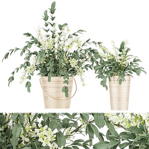 3D Collection plant vol 53 - flower