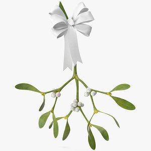 3D Mistletoe 1 with White Bow