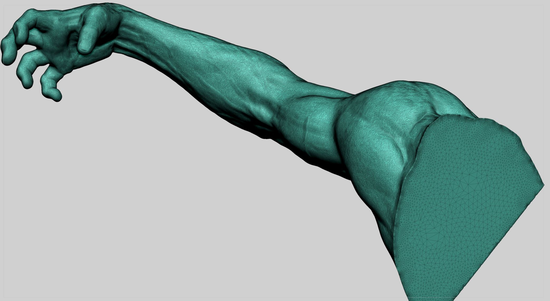 3d Model Human Arm Turbosquid 1685329 