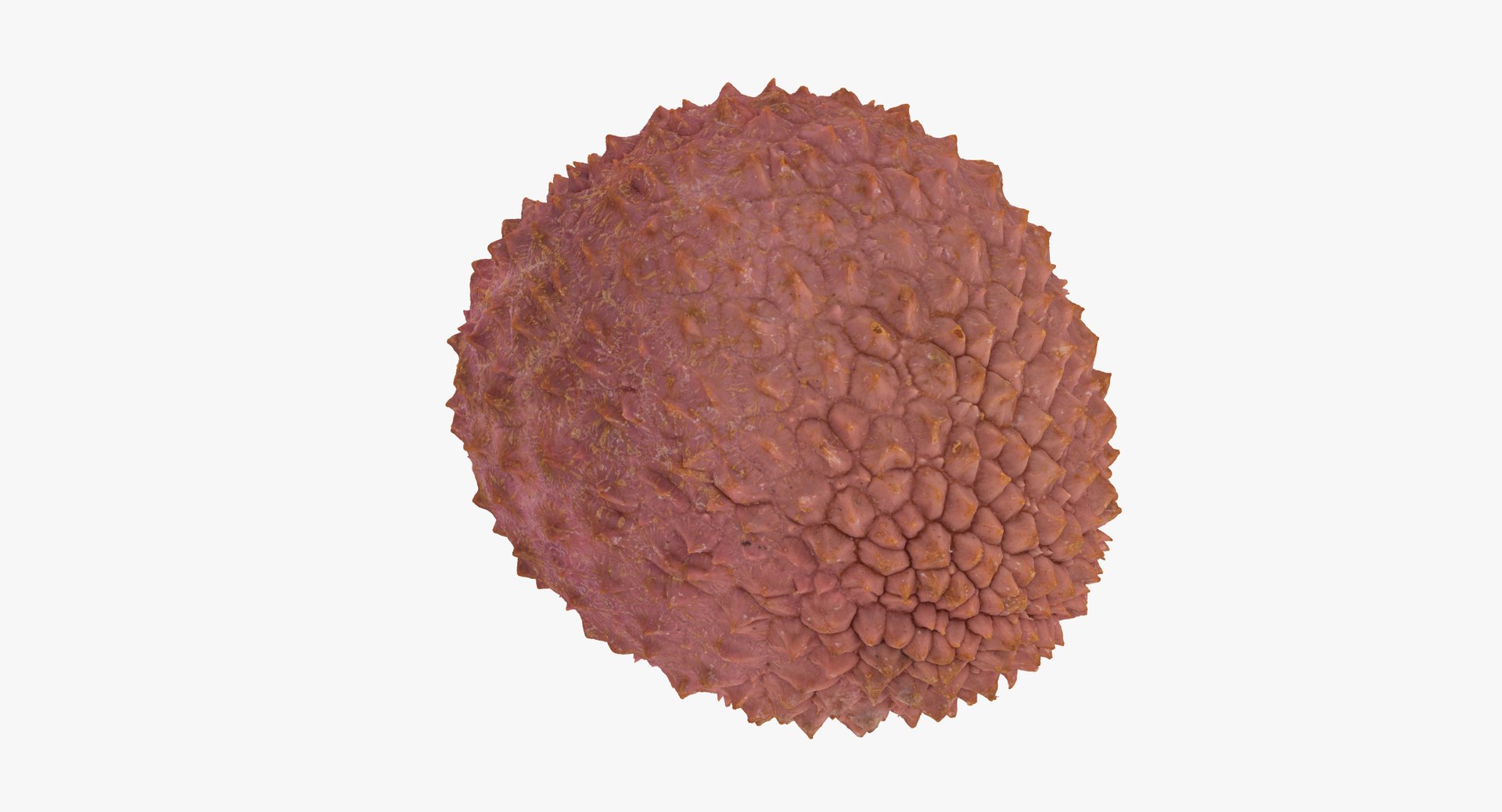 Lychees Collection 02 - 3 Models RAW Scans Model - TurboSquid 1830633