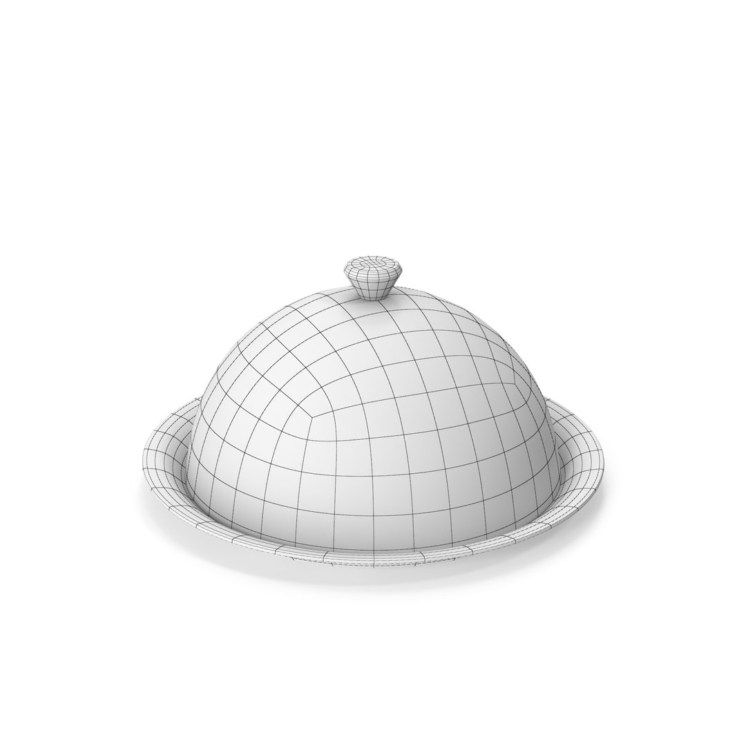 Serving Tray Dome 3D https://p.turbosquid.com/ts-thumb/ux/Xcokv3/EH/21123/jpg/1703321467/1920x1080/fit_q87/76808affb4bfc9c3aefdd4e09f2a6ada6d048631/21123.jpg