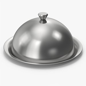 Serving Tray Dome 3D