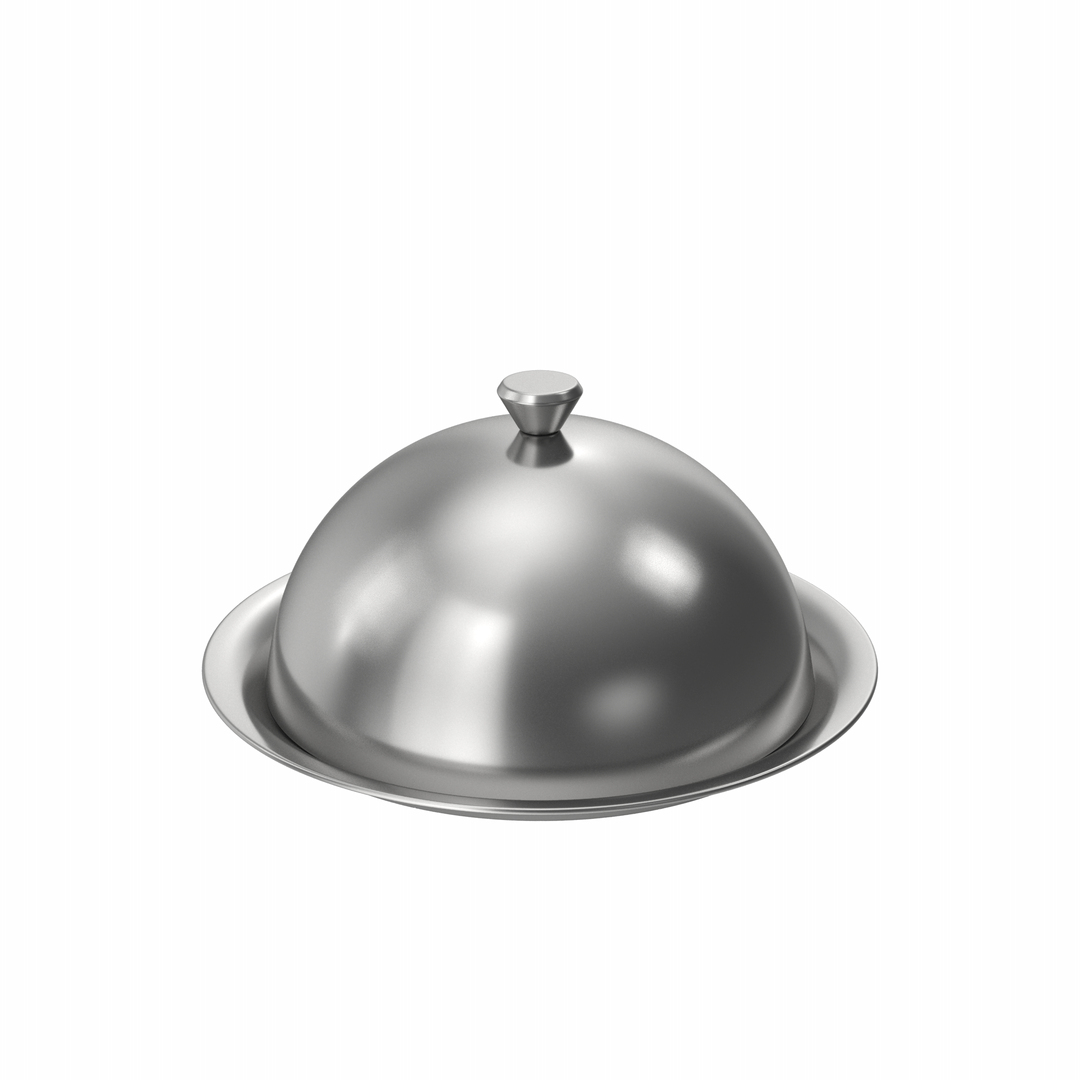 Serving Tray Dome 3D - TurboSquid 2168470