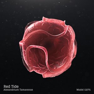 microbes micro organisms 3D model