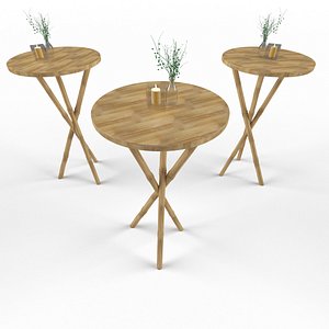 BAMBOO COCKTAIL TABLE 3D model
