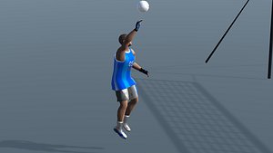 3D Volley Ball Animations
