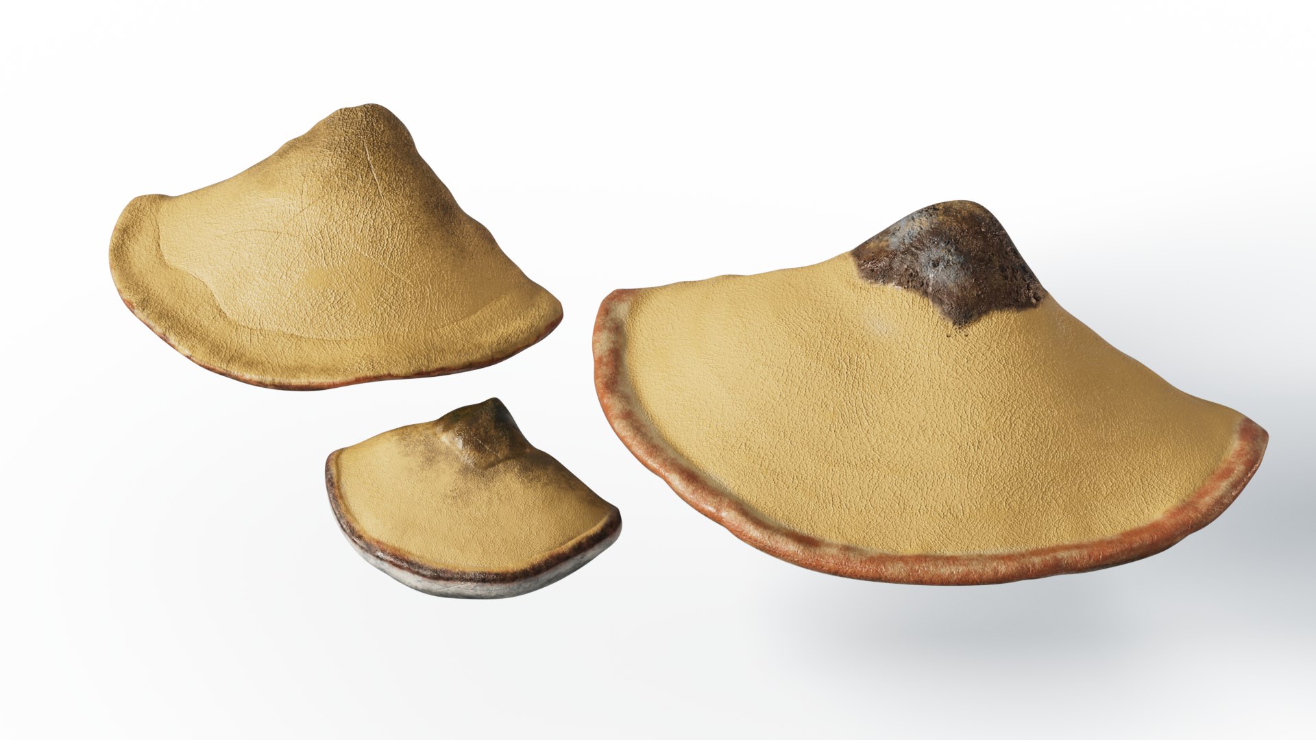 3D model Hoof Fungus https://p.turbosquid.com/ts-thumb/uy/6JeLzj/OA/chg_9/png/1699804255/1920x1080/fit_q87/ad60402e2ea6eb8e18cfbff5d7a1e84a5ab4b2c9/chg_9.jpg