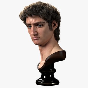 David Bust