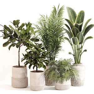 3D Indoor Plant Set 0111corona2015 model