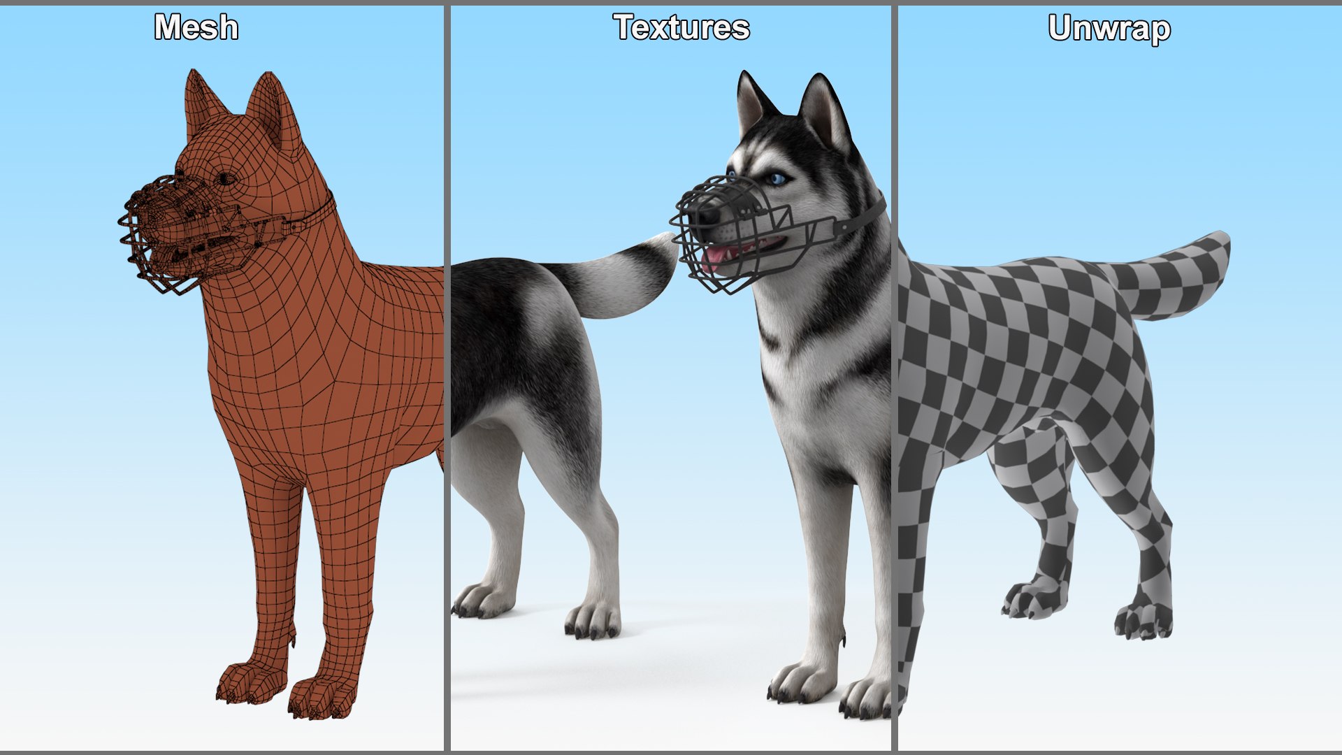 Siberian Husky Black And White With Muzzle 3D Model - TurboSquid 2282946
