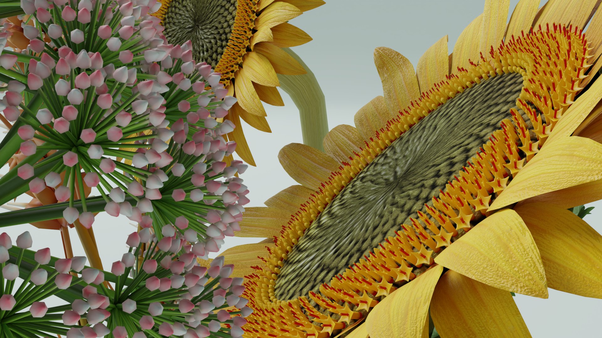 Flowers composition 05 3D model https://p.turbosquid.com/ts-thumb/uy/HorxXd/yA/flowers_composition_05_rend_005/png/1656361213/1920x1080/fit_q87/9cebe7980a0fcfd6a360ace13f61f7bb5e3dd1be/flowers_composition_05_rend_005.jpg