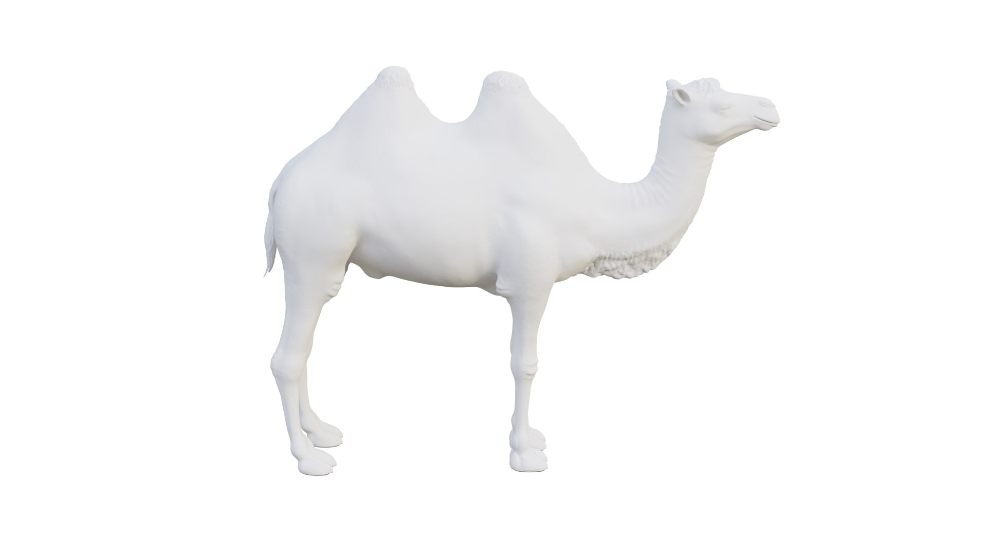 camel model https://p.turbosquid.com/ts-thumb/uy/NSQLrP/AJ/camel2/png/1627399746/1920x1080/fit_q87/6103de20d49ae298e55890b2beb5f2495d6e2384/camel2.jpg
