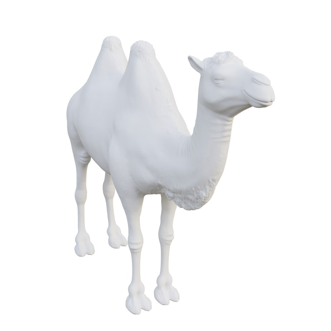 Camel Model TurboSquid 1766033