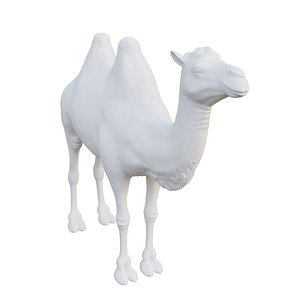 camel model