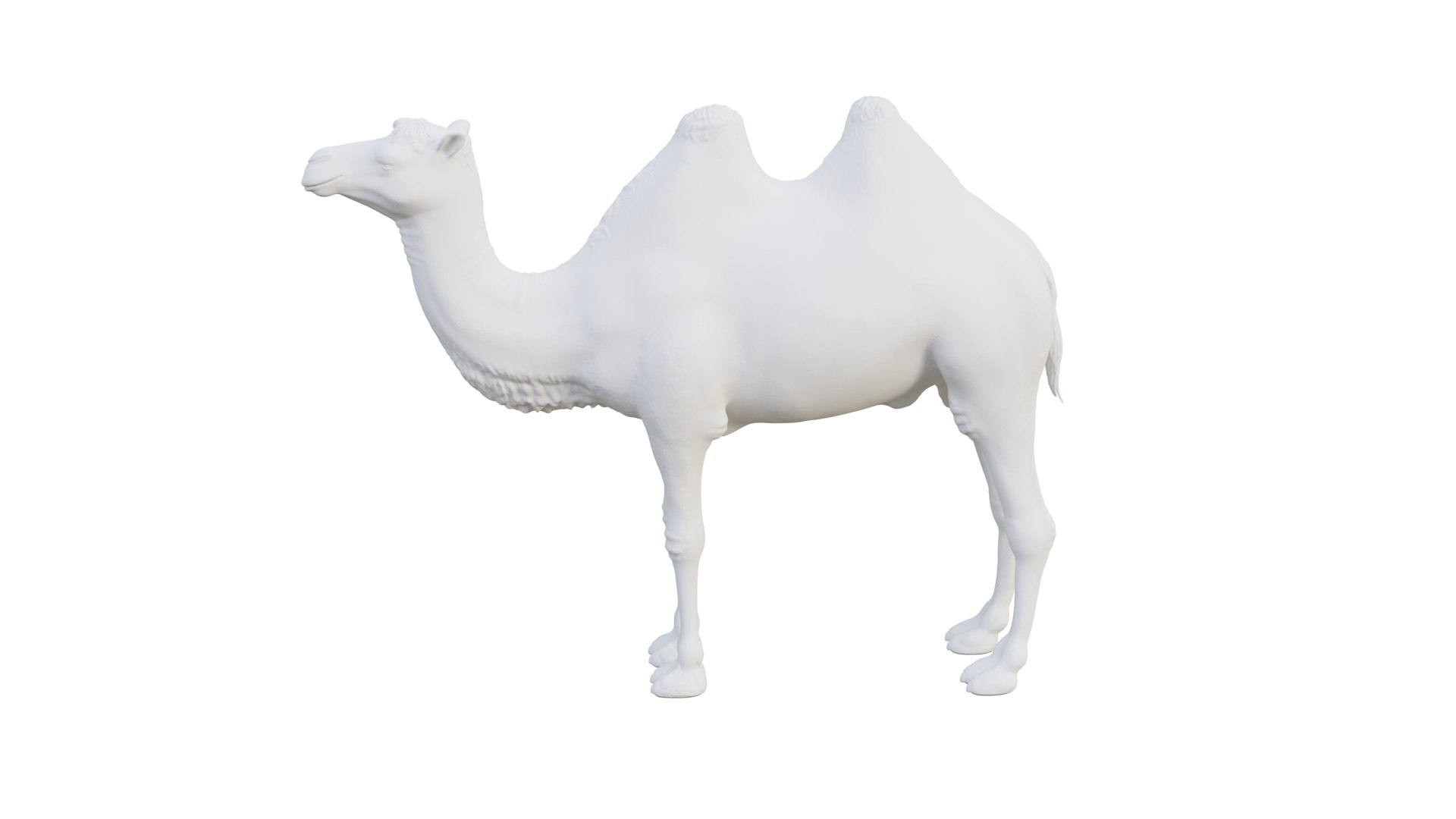 camel model https://p.turbosquid.com/ts-thumb/uy/NSQLrP/dr/camel5/png/1627399746/1920x1080/fit_q87/269b29972536664ea450e380afa53be148ec245c/camel5.jpg