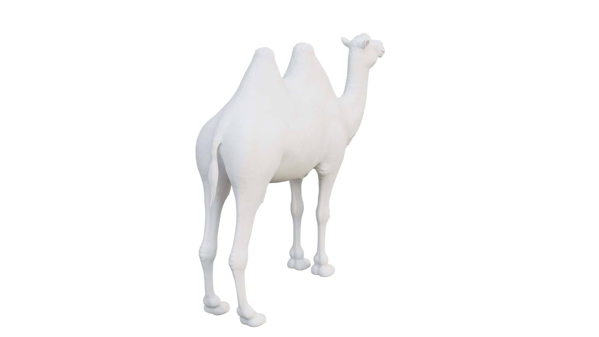camel model https://p.turbosquid.com/ts-thumb/uy/NSQLrP/jy/camel3/png/1627399745/1920x1080/fit_q87/5e2f62d16b981987ef9b257ce406344df95940d0/camel3.jpg