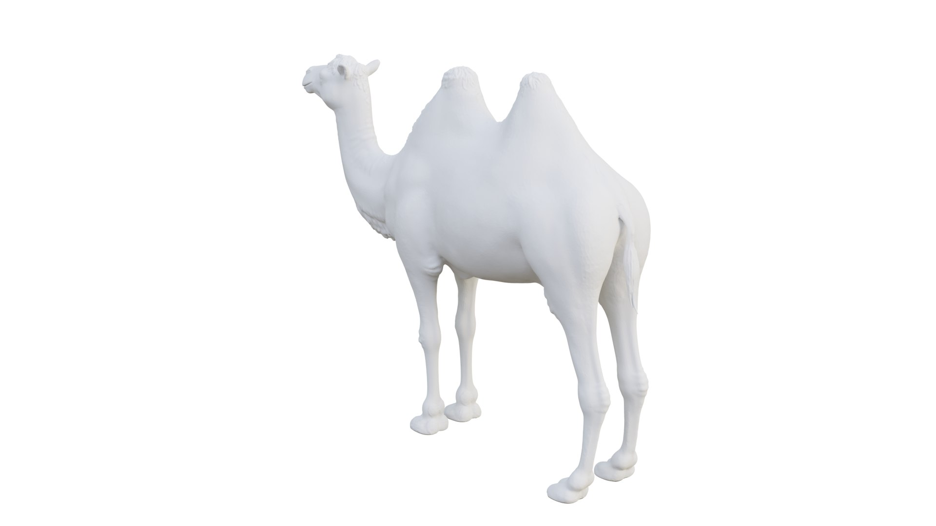 camel model https://p.turbosquid.com/ts-thumb/uy/NSQLrP/vg/camel4/png/1627399746/1920x1080/fit_q87/73d34e3f3bc3342d296d2d2ed3e75cd4433ef0db/camel4.jpg