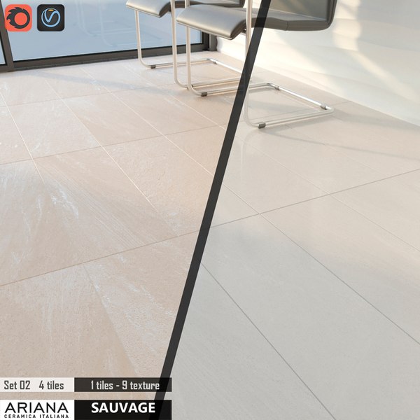ARIANA SAUVAGE conjunto 02 Modelo 3D - TurboSquid 1110135