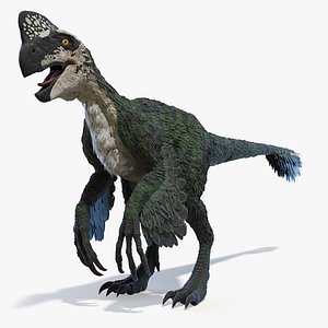 Oviraptor Static 3D model