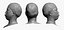 Mei Human Head Chin Raiser AU17 Clean Scan