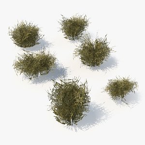 Dry Grass Tufts Cluster with Sparse Growth Set Low Poly 3D model