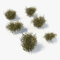Dry Grass Tufts Cluster with Sparse Growth Set LowPoly