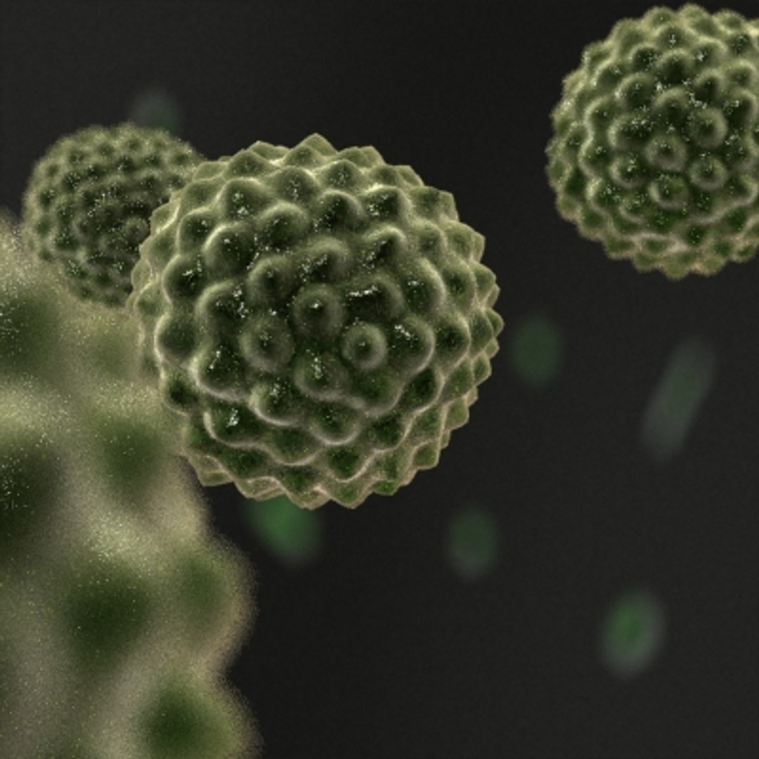 Pollen Cell Microscopic 3d Model