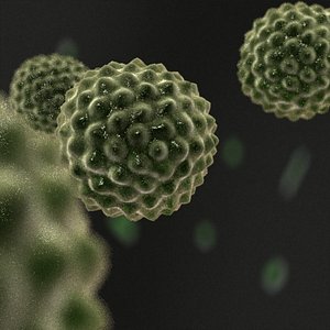 Pollen cell