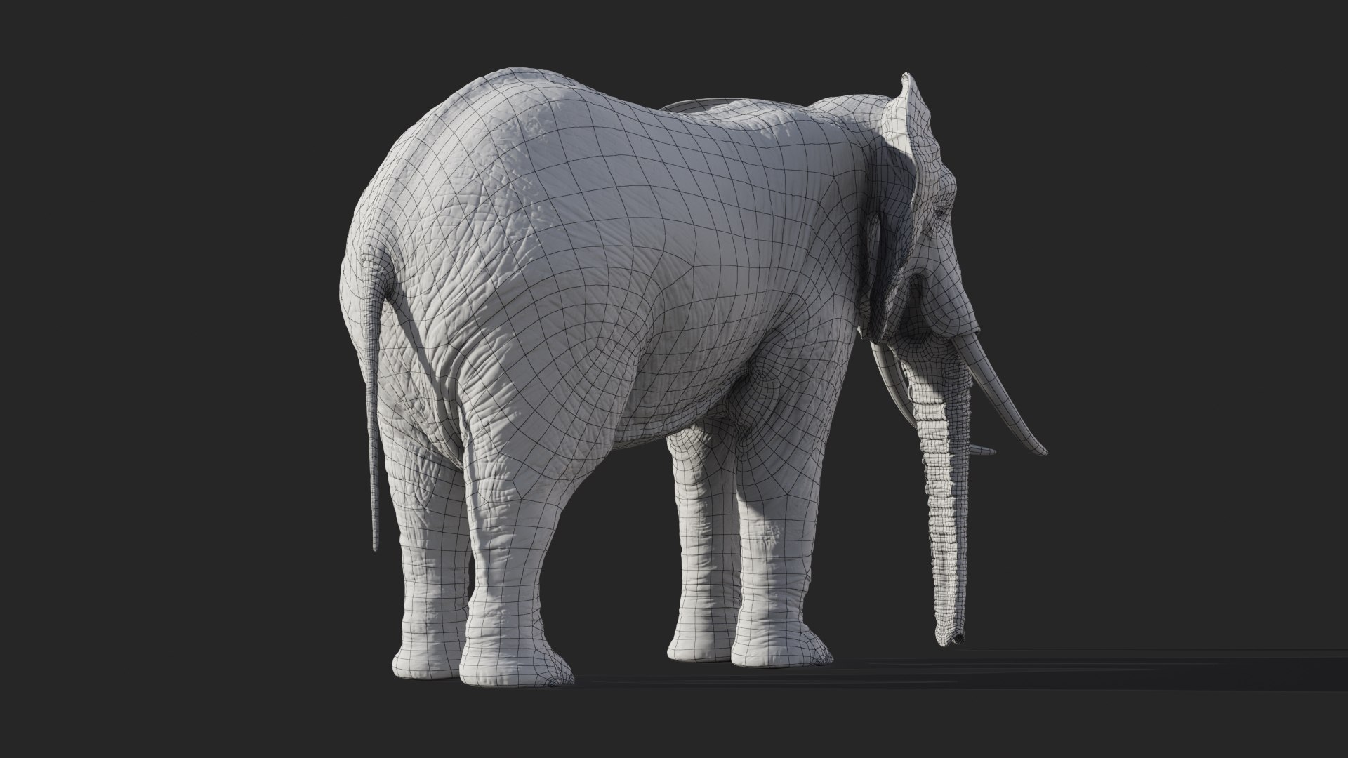 Elephant African Animated model https://p.turbosquid.com/ts-thumb/uy/wEFKTf/0T/elephantafrican_01680/jpg/1669475518/1920x1080/fit_q87/fad32669993eadff61ab16661a6fc0da21a23ace/elephantafrican_01680.jpg