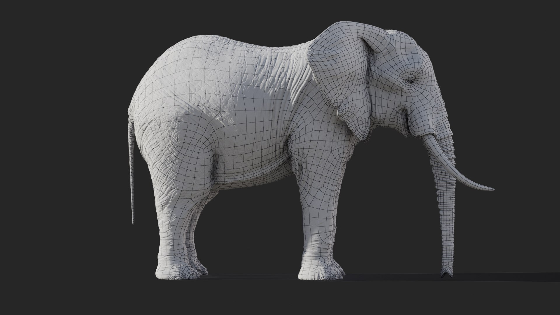 Elephant African Animated model https://p.turbosquid.com/ts-thumb/uy/wEFKTf/1U/elephantafrican_01679/jpg/1669475518/1920x1080/fit_q87/94a1398ab84e48be8fe8a7bfef813a87b6aa3f50/elephantafrican_01679.jpg