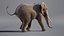 Elephant African Animated