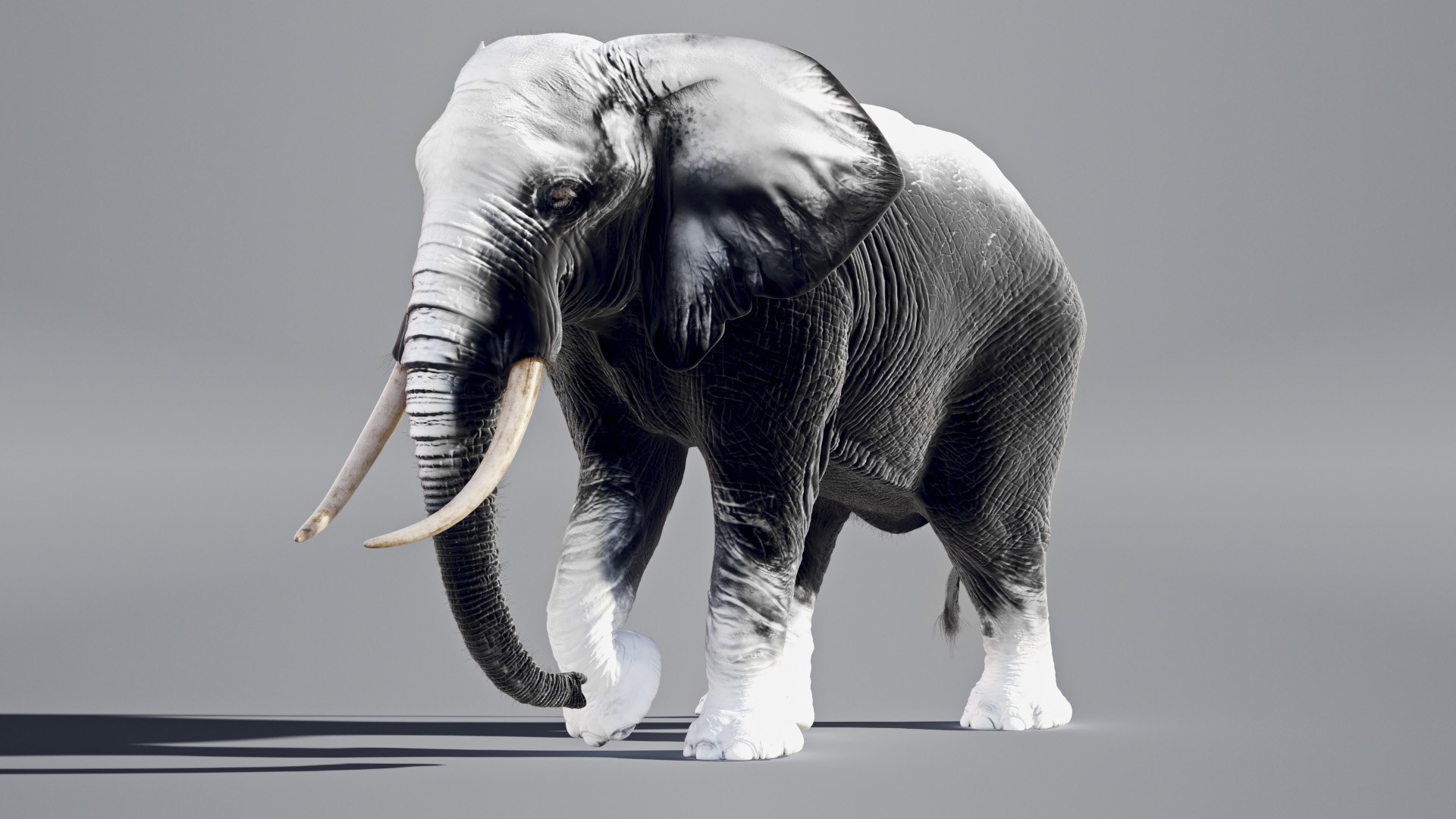 Elephant African Animated model https://p.turbosquid.com/ts-thumb/uy/wEFKTf/Sn/elephantafrican_mask/jpg/1669475469/1920x1080/fit_q87/f9af9e8e8d68602b43d667b1ba31f01e0c12f363/elephantafrican_mask.jpg