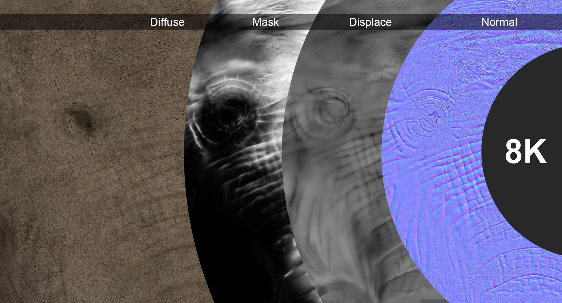 Elephant African Animated model https://p.turbosquid.com/ts-thumb/uy/wEFKTf/xZ/elephantafrican_pack/jpg/1669475594/1920x1080/fit_q87/2c07f5db9e9a83da06c125efad450a6eca396867/elephantafrican_pack.jpg