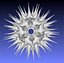 diatom