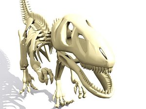 skeleton dino skelet 3d max